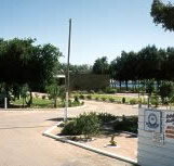 Shoreline Caravan Park - Nelsons Bay Accommodation