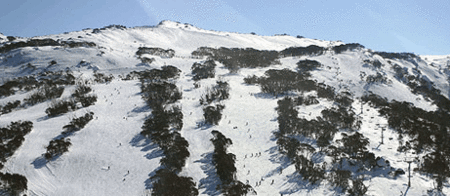 Thredbo Alpine Hotel - Accommodation Nelson Bay