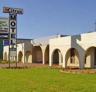 Citrus Motel - Accommodation Nelson Bay