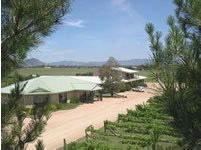 Mudgee Vineyard Motor Inn - Accommodation Nelson Bay 1