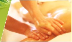 A Country Health Retreat - Accommodation Nelson Bay 1