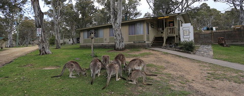 Kosciuszko Tourist Park - Accommodation Nelson Bay 5