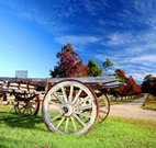 The Oaks Ranch and Country Club - Mossy Point - Accommodation Nelson Bay
