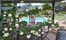Valley View Motel Murrurundi - Murrurundi - Accommodation Nelson Bay 2
