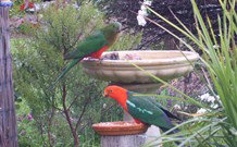 Valley View Motel Murrurundi - Murrurundi - Accommodation Nelson Bay 4