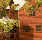 Barrington Tops Organic Retreat - Accommodation Nelson Bay