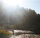 Blair Athol Estate - Accommodation Nelson Bay