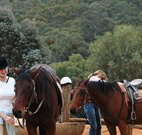 Clark Bay Cottages - Nelson Bay Accommodation.com