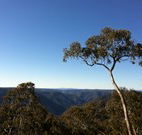 Coach Cottage - Accommodation Nelson Bay