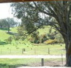 Hosanna Farm Retreat - Accommodation Nelson Bay