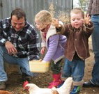 Linga Longa Farm Wingham - Accommodation Nelson Bay