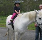 Mansfield Cottage Barrington Tops Accommodation - Accommodation Nelson Bay