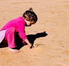 Stony Creek Farm B and B - Accommodation Nelson Bay