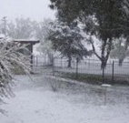 Tirrintippin - Accommodation Nelson Bay