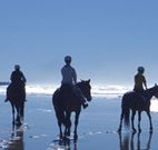 Whispering Brook - Accommodation Nelson Bay