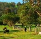 Giba Gunyah Country Cottages - Accommodation Nelson Bay