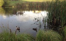 East Bowral NSW Accommodation Nelson Bay