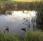 Harewood House Bed and Breakfast - Accommodation Nelson Bay