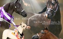 Hunter Valley Macadamia Lodge - Accommodation Nelson Bay 2