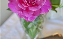 Newcastles Bed And Breakfast - Accommodation Nelson Bay 3