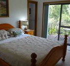 Peaceful Palms Bed and Breakfast - - Accommodation Nelson Bay