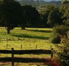 Pines on the Plateau - Accommodation Nelson Bay