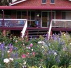 Rose Patch Bed and Breakfast - Accommodation Nelson Bay