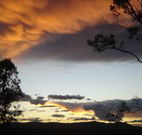 Silkwood B and B - Accommodation Nelson Bay