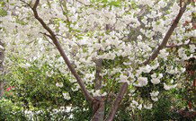 Valley Of The Waters Bed And Breakfast - Accommodation Nelson Bay 7