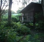 Mount Seaview Resort - Accommodation Nelson Bay