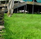 Snowy Valley Resort - Accommodation Nelson Bay
