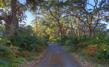 BiJs On The Beach - Accommodation Nelson Bay 3