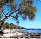 David Jones Cottage - Accommodation Nelson Bay