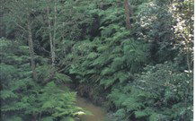 Eco Huts - Jervis Bay Getaways - Accommodation Nelson Bay 1