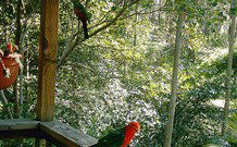 Eco Huts - Jervis Bay Getaways - Accommodation Nelson Bay 2