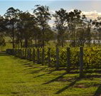 Hidden Treasure - Accommodation Nelson Bay