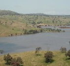 In The Heart Of Husky - Accommodation Nelson Bay