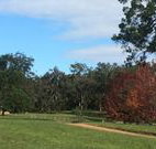 Mulberry Cottage - Accommodation Nelson Bay