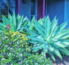 Retreat Homestead - Accommodation Nelson Bay