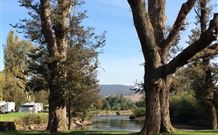 Sand Cottage - Accommodation Nelson Bay 1