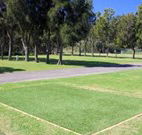 Spotted Gums on Hermitage - Accommodation Nelson Bay