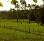 Stone Cottage Mittagong - Accommodation Nelson Bay