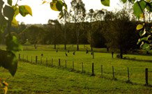 Stone Cottage Mittagong - Accommodation Nelson Bay 0