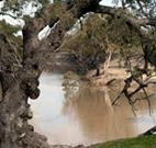 Valley View Cottage Hunter Valley - Accommodation Nelson Bay