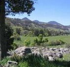 Woolshed Hill Estate - Accommodation Nelson Bay