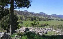 Woolshed Hill Estate - Accommodation Nelson Bay 0