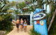 Sydney, Collaroy Beachouse YHA - thumb 0