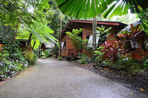 Cape Tribulation  - Accommodation Nelson Bay 4