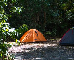Jungle Lodge - Accommodation Nelson Bay 1