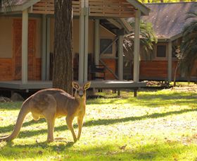 Carnarvon Gorge Wilderness Lodge - Accommodation Nelson Bay 3